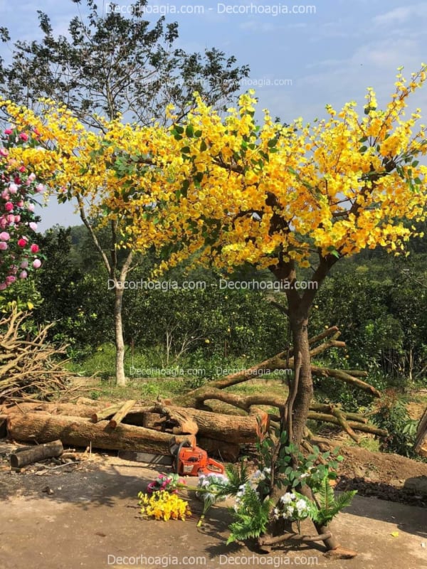 Cây hoa mai giả Cây hoa mai giả