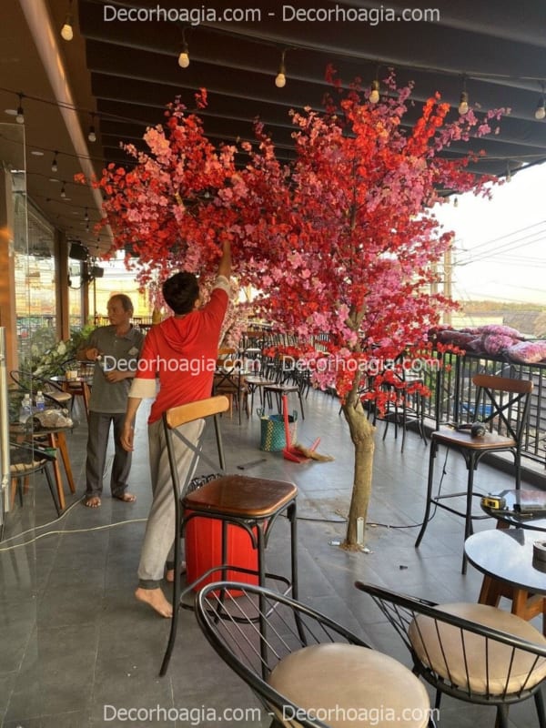 cây hoa anh đào đỏ giả giá rẻ