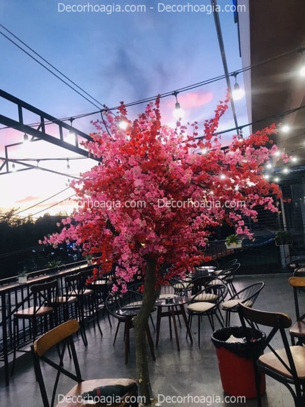 cây hoa anh đào đỏ giả