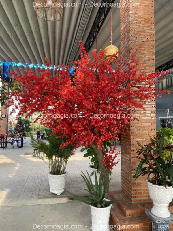 cây hoa anh đào đỏ giả giá rẻ HCM