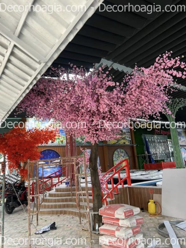 cây hoa anh đào giả