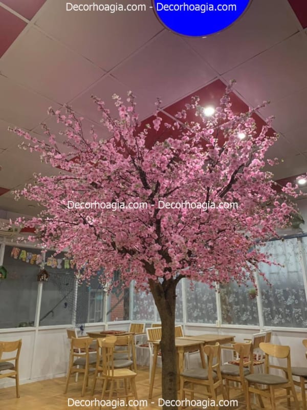 cây hoa anh đào giả cao 3m5