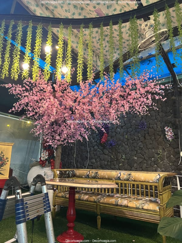cây hoa anh đào giả tán lệch