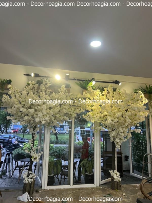 cây hoa anh đào hoa trắng giả