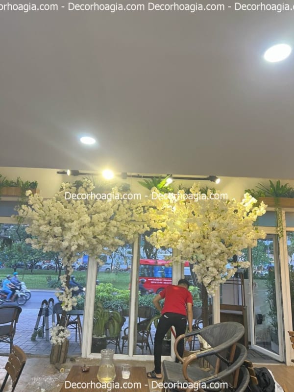 cây hoa anh đào hoa trắng giả