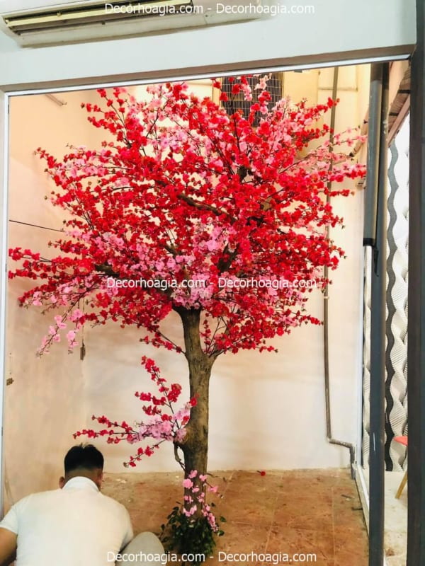 cây hoa anh đào giả cao 2m2