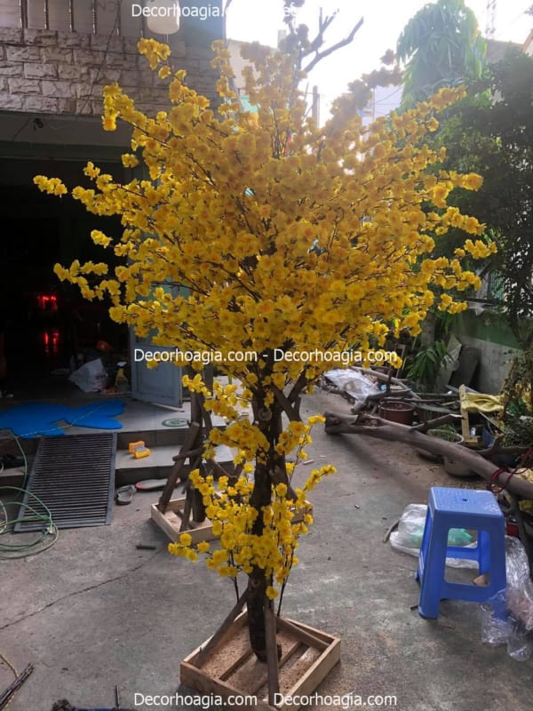 cây hoa mai giả cao 2m2 cây hoa mai giả cao 2m2