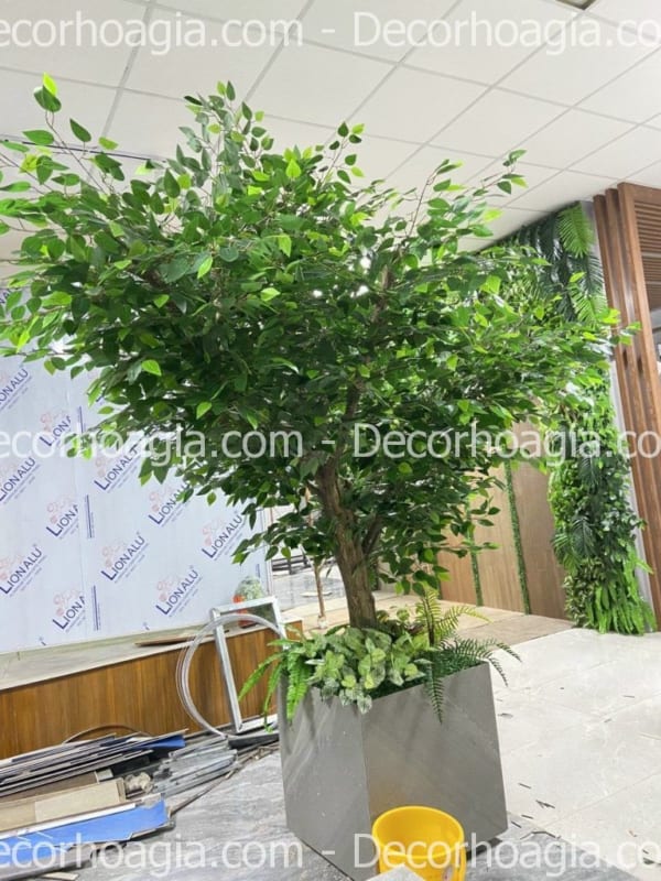 cây si giả đẹp như thật cây si giả đẹp như thật