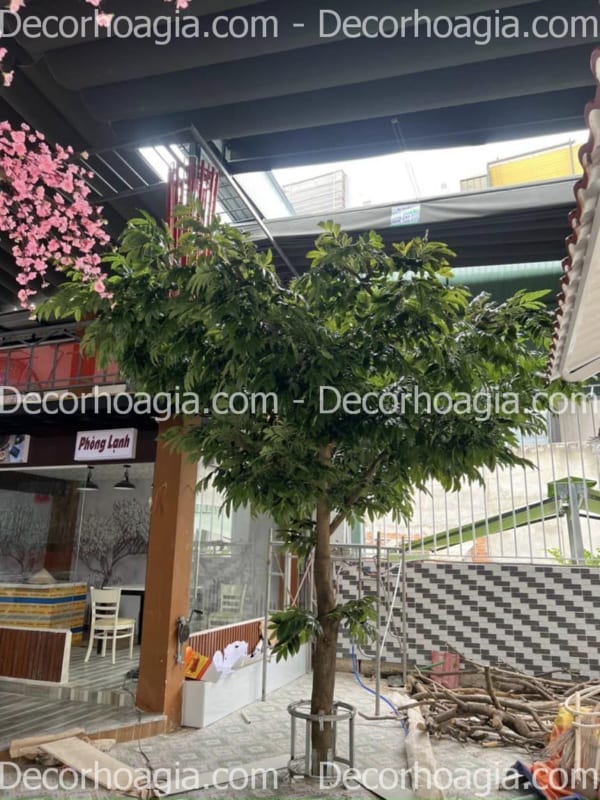cây si lá xanh giả cây si lá xanh giả