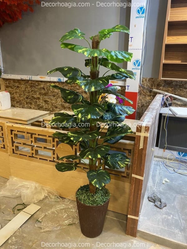 chậu cây trầu bà giả