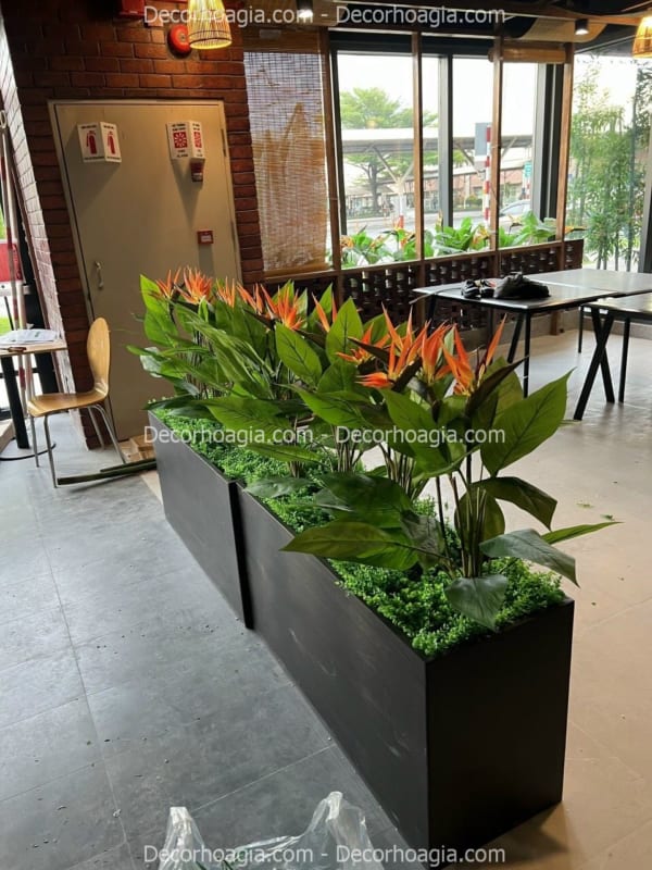 hộp cây giả