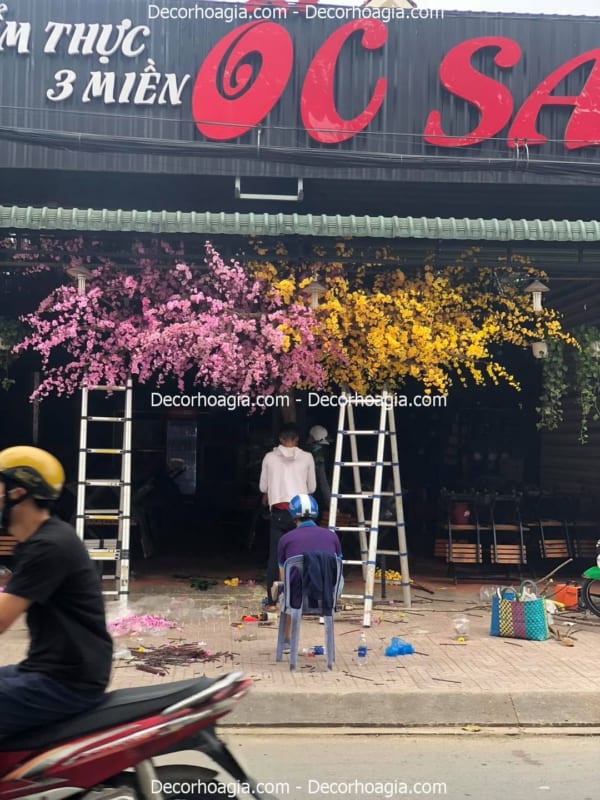 cây mai giả trang trí quán