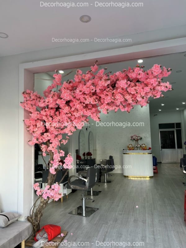 cây hoa anh đào giả tán đổ