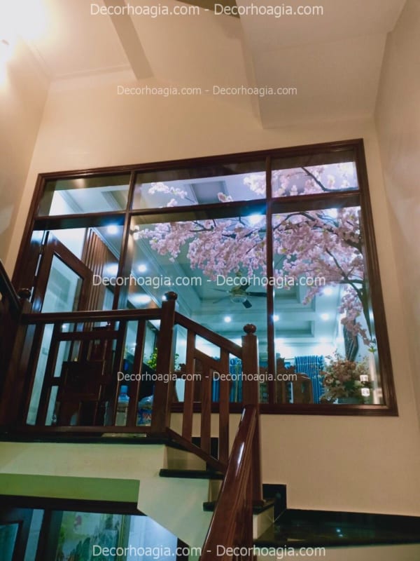 cây hoa anh đào giả tán đổ một bên