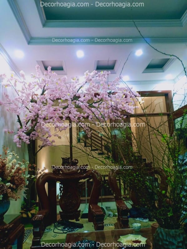 cây hoa anh đào giả tán đổ một bên