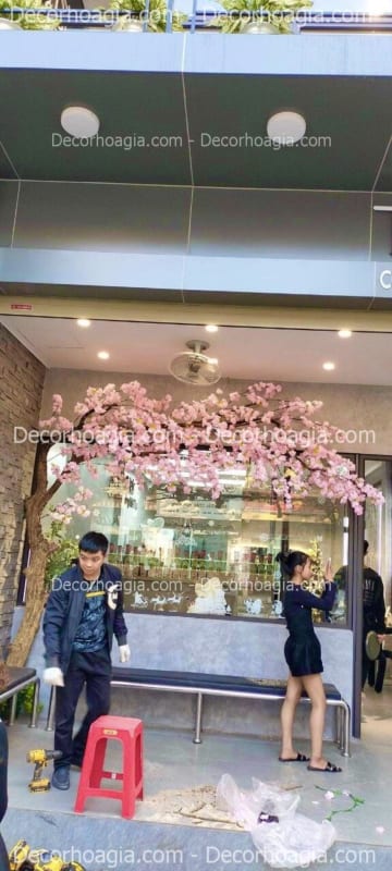 cây hoa mai vàng giả giá rẻ hà nội