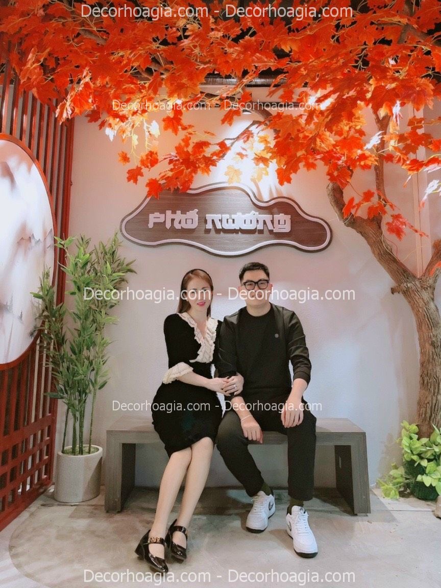 cay-phong-gia-cho-thue-1
