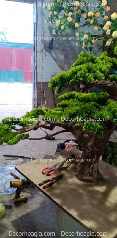 cây tùng giả decor