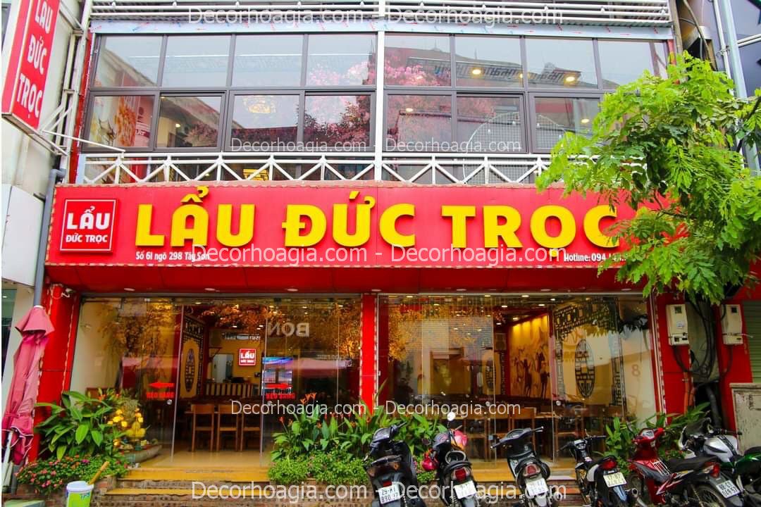 cho thuê cây hoa mai vàng giả hcm