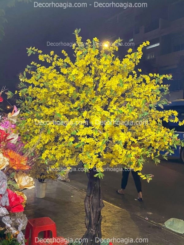 cho thuê cây hoa mai vàng giả hcm