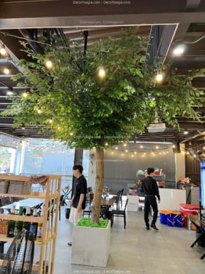 thi công cây si giả cao 4m