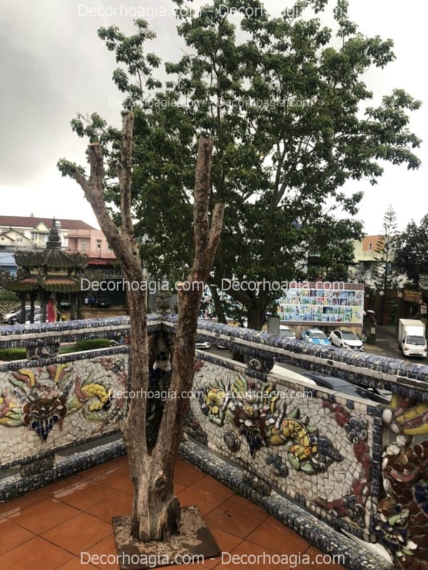 cây giả giá rẻ hà nội