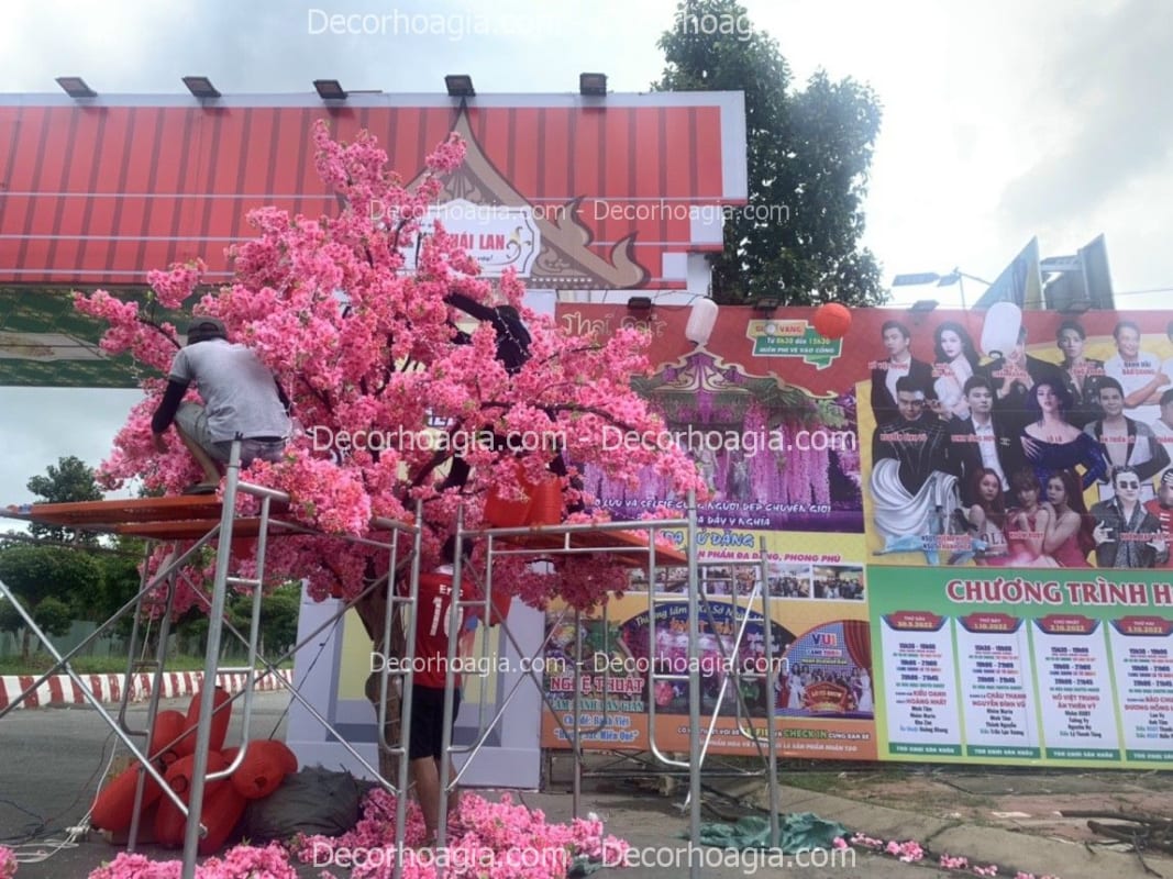 cây hoa anh đào giả quận 1