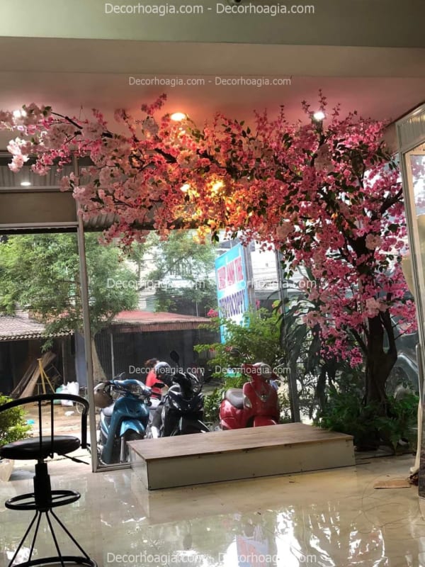cây hoa anh đào giả quận 3