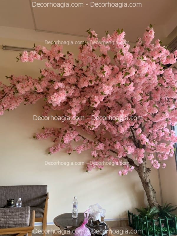 cây hoa anh đào hoa chùm giả