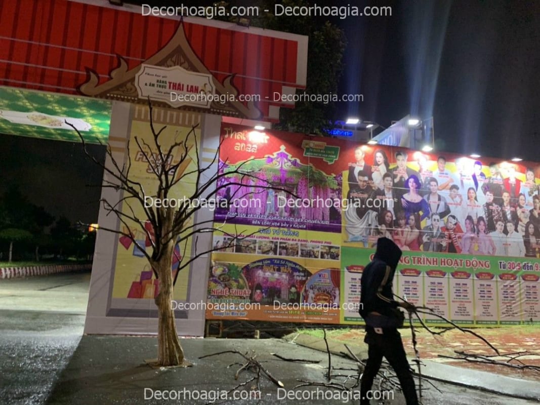 cây hoa tử đằng giả tại nha trang
