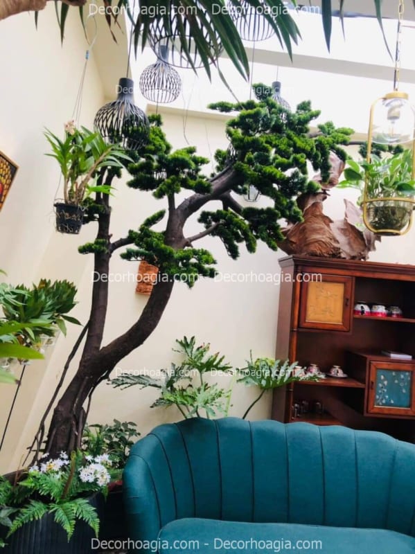 cây tùng giả trang trí phòng khách