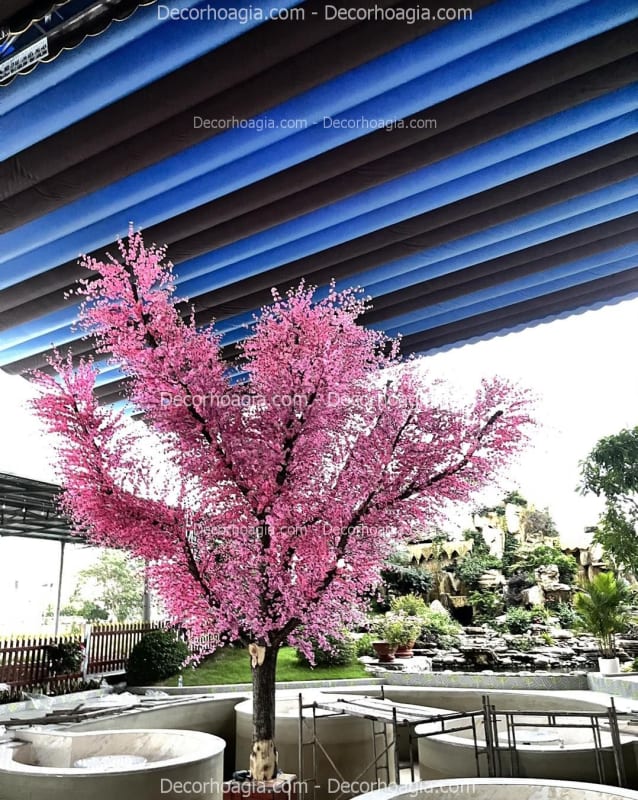 Cây giả trang trí cafe cá koi