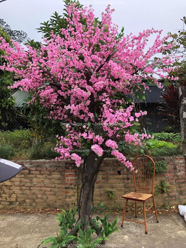 Cây hoa anh đào giả cao 3m