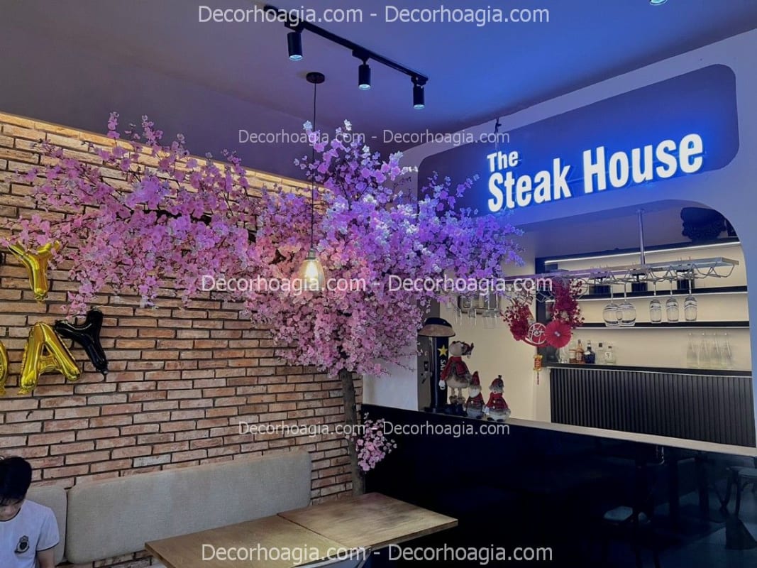 Cây hoa anh đào giả quán nước