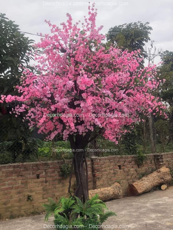 Cây hoa anh đào giả tại Đồng Nai
