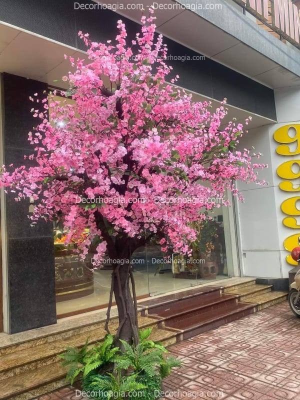 Cây hoa anh đào giả tại Đồng Nai
