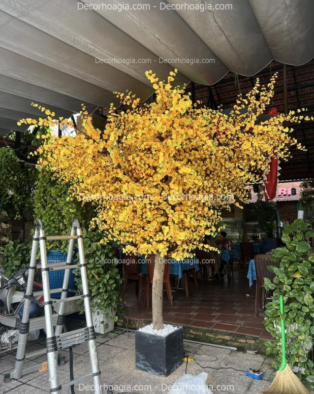 Cây Hoa Mai Vàng Giả Quận 5 TPHCM
