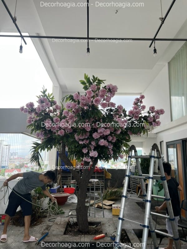Cây hoa mẫu đơn giả TPHCM