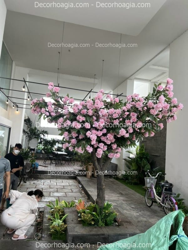 Cây hoa mẫu đơn giả TPHCM