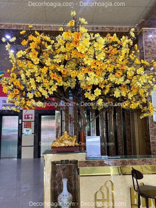 Cây hoa mộc lan giả Hà Nội