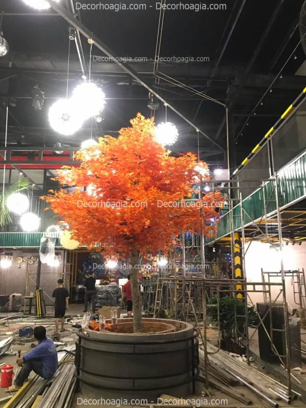 Cây phong giả quận 1 TPHCM