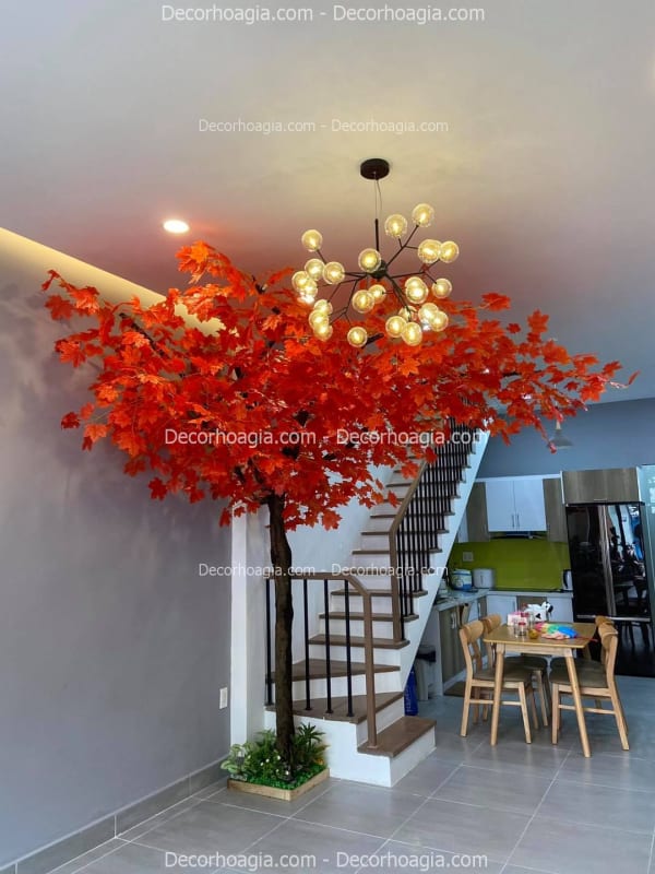 Cây Phong Giả Quận 2 TPHCM