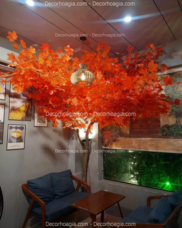 Cây Phong Giả Quận 9 TPHCM