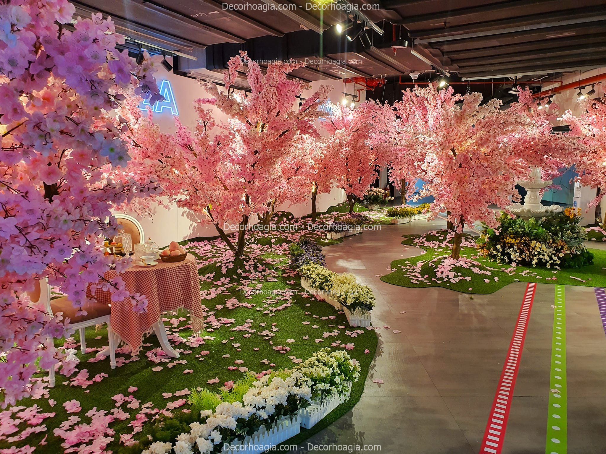 cho-thue-cay-hoa-anh-dao-gia-quan-1-tphcm