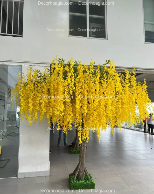 Hoa tử đằng giả TPHCM